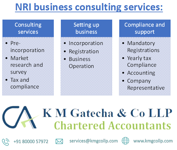 NRI Business consulting services