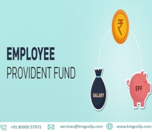 Read more about the article Provident Fund and Employee State Insurance – A detailed note
