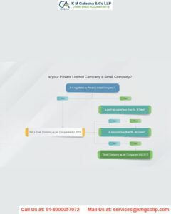 New definition of Small Company under Companies Act, 2013 New definition of Small Company under Companies Act, 2013