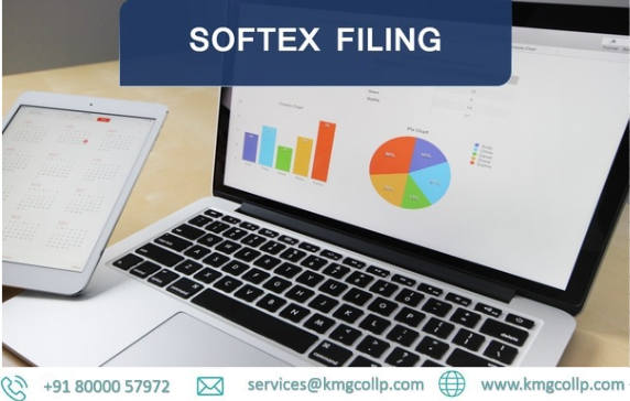 Softex Form - CA For ITR Filing