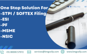 Read more about the article Softex Form
