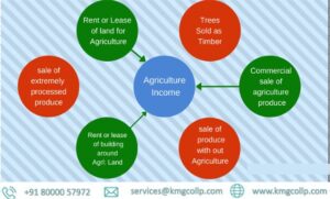 Taxability on Sale of Agriculture Land under Income Tax Law