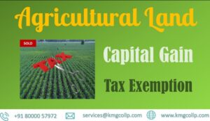 Read more about the article Taxability on Sale of Agriculture Land under Income Tax Law