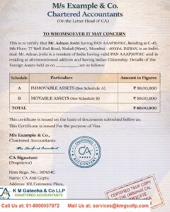 Net Worth Certificate (Wealth Report) by CA for All Purposes Net Worth Certificate (Wealth Report) by CA