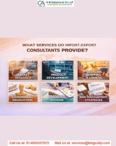 The Role of Import Export Consultants in Building a Profitable Global Business The Role of Import Export Consultants in Building a Profitable Global Business