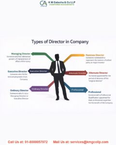 Types of Directors in a Company Types of Directors in a Company