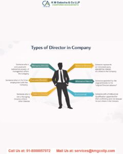 Types of Directors in a Company Types of Directors in a Company