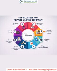 Mandatory compliance for Private Limited Company Mandatory compliance for Private Limited Company (2)