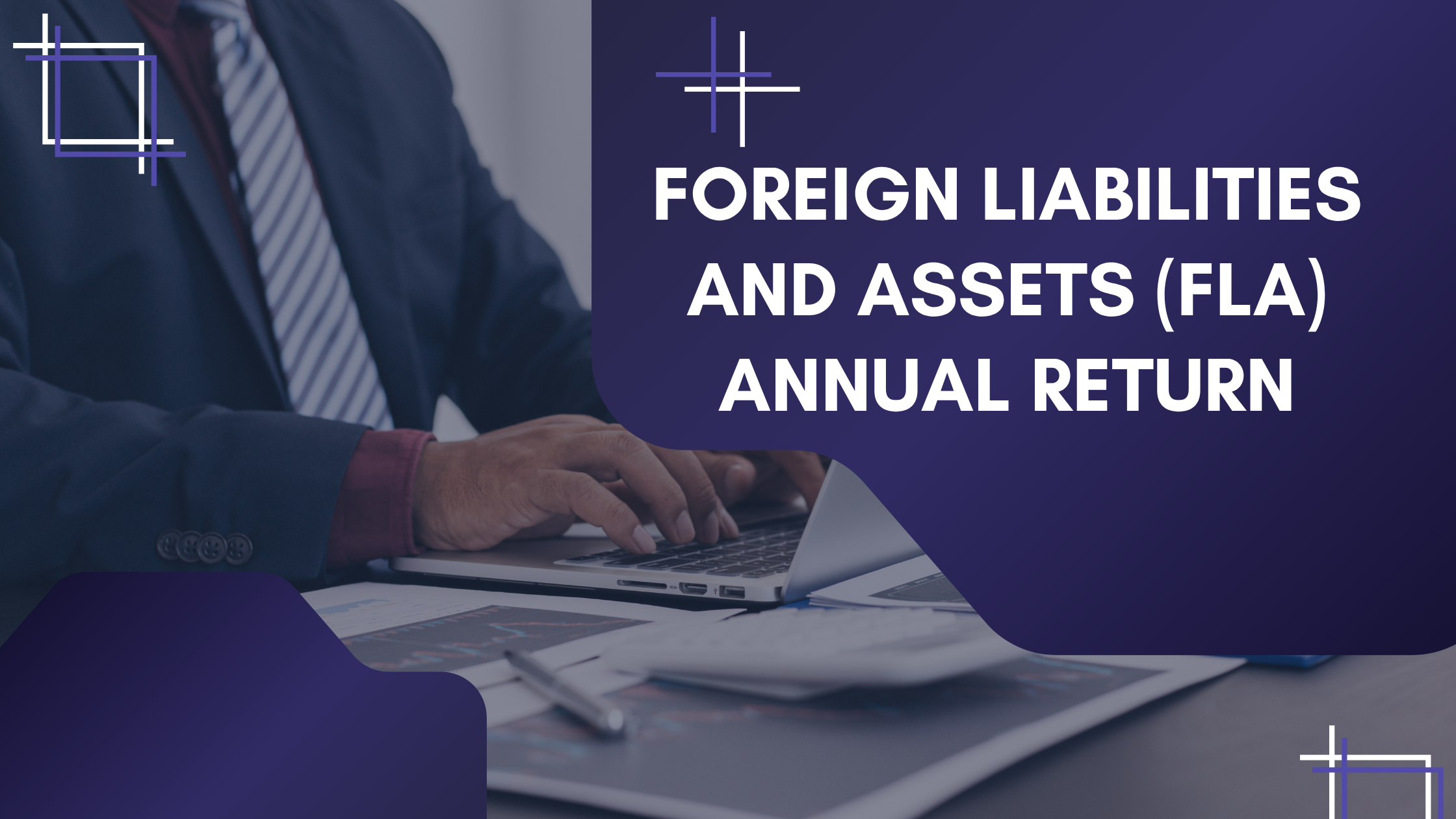 You are currently viewing Foreign Liabilities and Assets (FLA) Annual Return