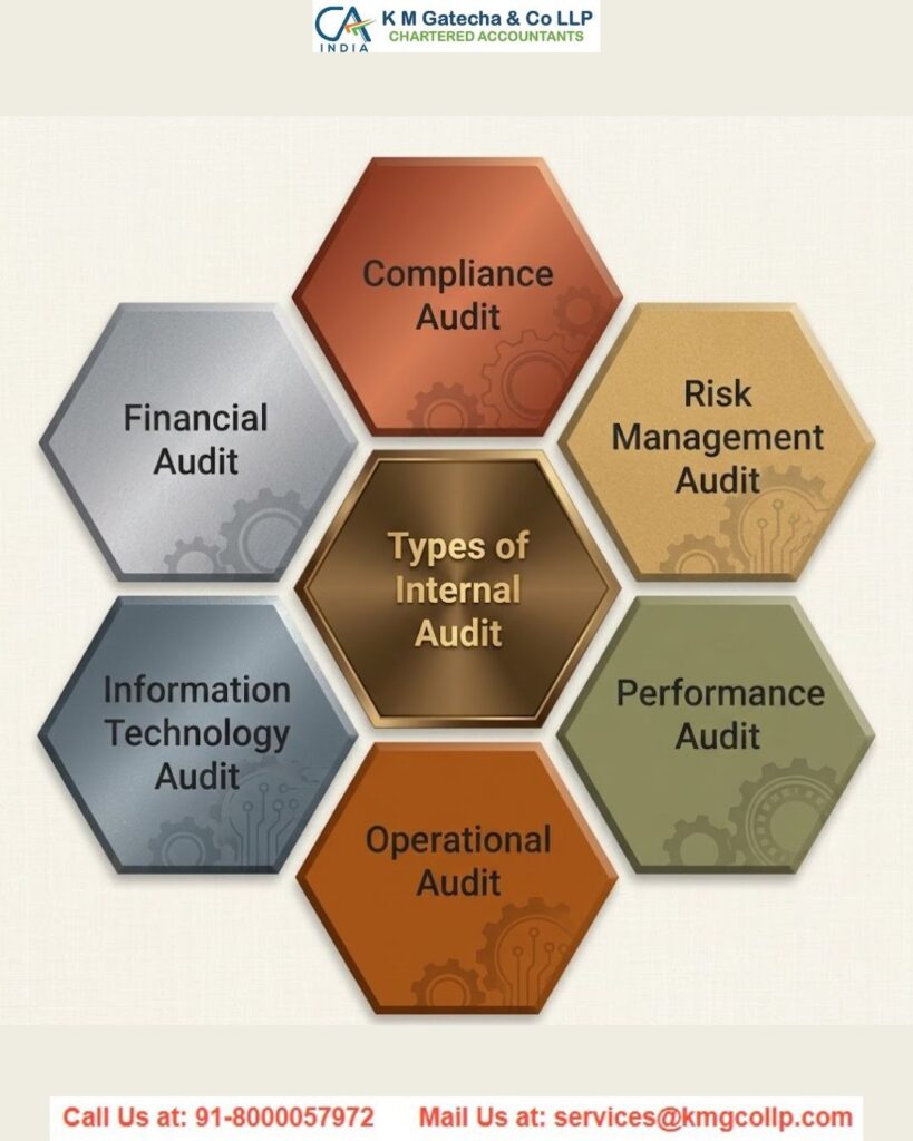 Internal Audit and Its Importance for the Business Internal Audit and Its Importance for the Business